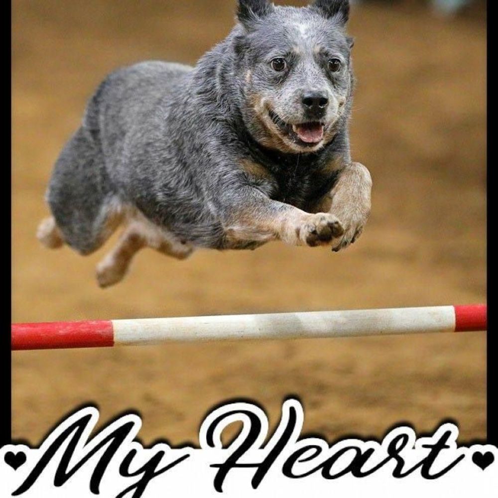 Meet your Posher, Melisa